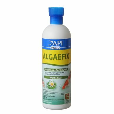 PondCare AlgaeFix Algae Control for Ponds  16 oz algaefix (Treats 4,800 Gallons)