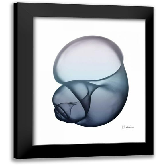 Koetsier, Albert 12x14 Black Modern Framed Museum Art Print Titled - Lavender Snail 1