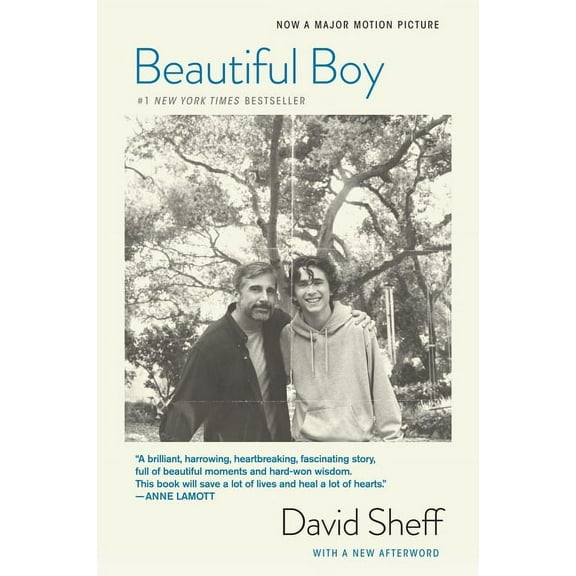 Beautiful Boy (Tie-In): A Father's Journey Through His Son's Addiction, (Paperback)