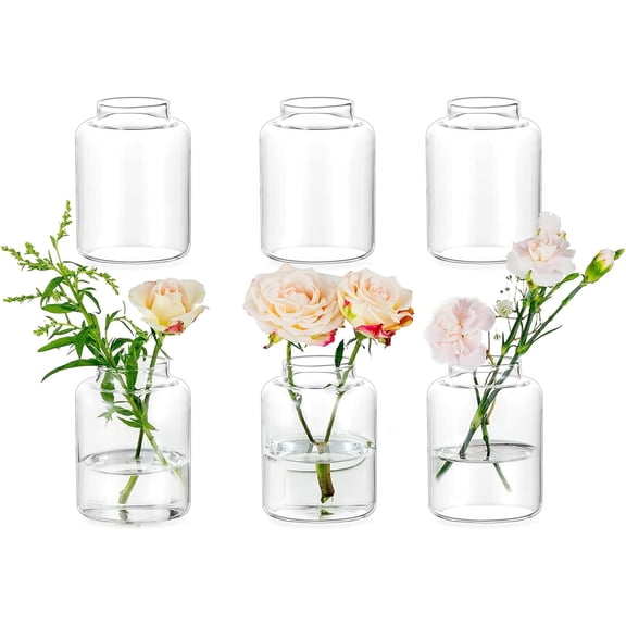 Bud vases Set of 6: Glass Vases for Centerpieces Modern Small Vases for Home Table Shelf Wedding Party Decoration - Clear Vase for Flowers Stem Roses Tuilps Cuttings
