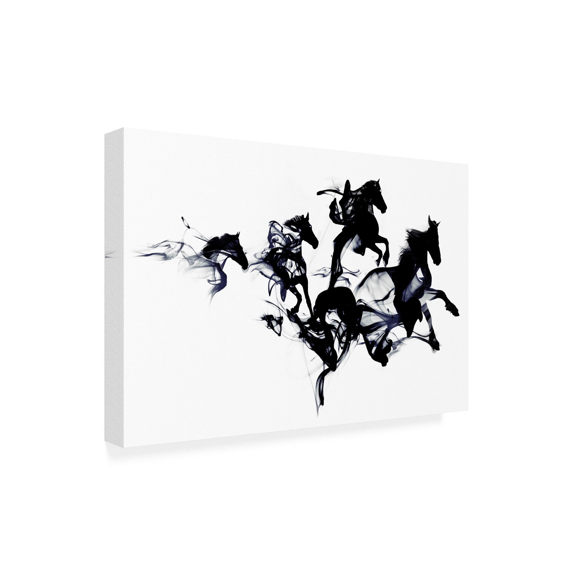 Trademark Fine Art 'Black Horses Abstract' Canvas Art by Robert Farka