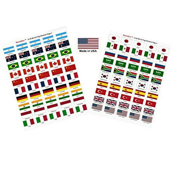 Made in USA! 100 Stickers Representing Group of 20 (G-20) Countries; 1.5" x 1" Self Adhesive World Flag Stickers, Two Sheets of 50 Showcasing 5 Stickers for Each G-20 Country