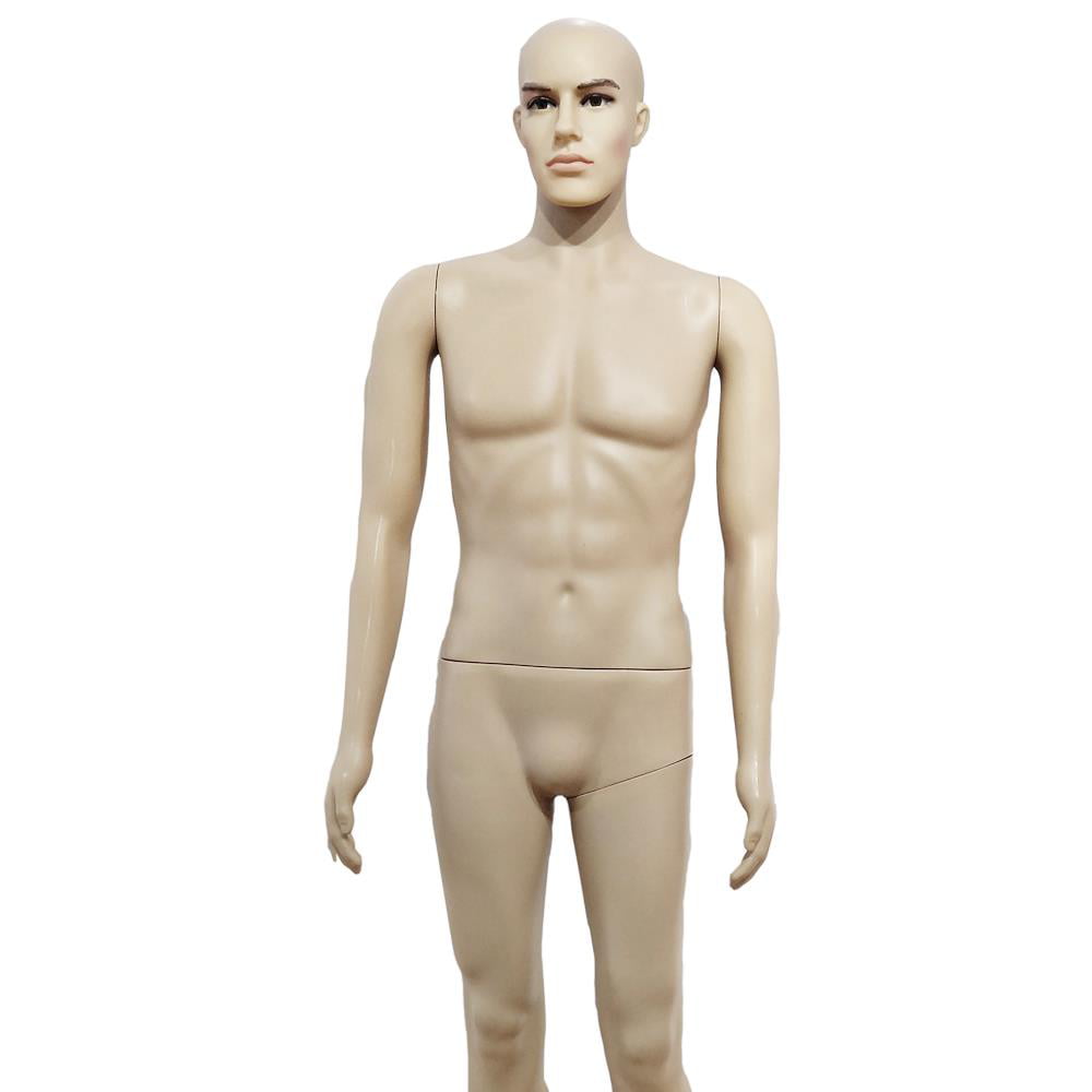 Details about   Highly Simulation Full Body Model Plastic Male Mannequin Skin Color 183CM Height 