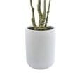 thumbnail image 4 of 7' Artificial Willow Eucalyptus Tree with Artisan Planter, 4 of 5