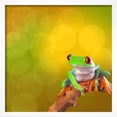 thumbnail image 2 of Red Eyed Tree Frog From Costa Rica Rain Forest, Animals Scenic Framed Art Print Wall Art by kikkerdirk Sold by Art.Com, 2 of 3