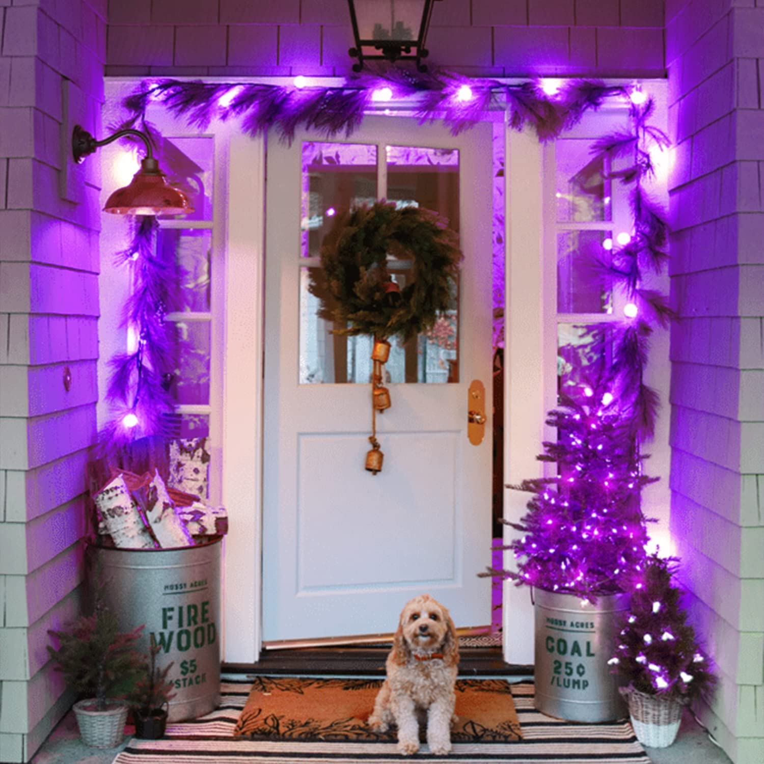 JMEXSUSS 100 LED Purple Christmas String Lights photo 6