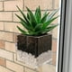 thumbnail image 4 of Maceta acrílica kusrkot Cactus Titular de hierbas Contenedor para colgar en la pared cuadrado, 4 of 8