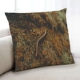 thumbnail image 1 of Ahgly Company Insects worm Indoor Throw Pillow, 18 inch by 18 inch, 1 of 6
