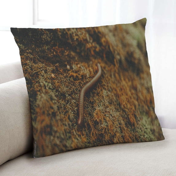 Ahgly Company Insects worm Indoor Throw Pillow, 18 inch by 18 inch
