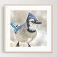 thumbnail image 2 of Blue Jay In A Snow Storm - Photography Bird Wildlife Winter Nature Snow Animal Scenic Unframed Wall Art Print 16 x 16 inches, 2 of 9