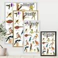 thumbnail image 4 of Designart 'Vital Colored Birds Plancard' Traditional Framed Canvas Wall Art Print, 4 of 5