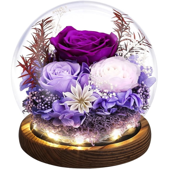 Preserved Real Rose in Glass Dome with LED Light, Forever Eternal Flower Gift for Mom, Wife, Her on Birthday, Anniversary, Mother's Day – Purple