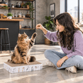 thumbnail image 6 of Kitten Starter Kit - 16 Cat Set Includes Litter Box, 6 of 7