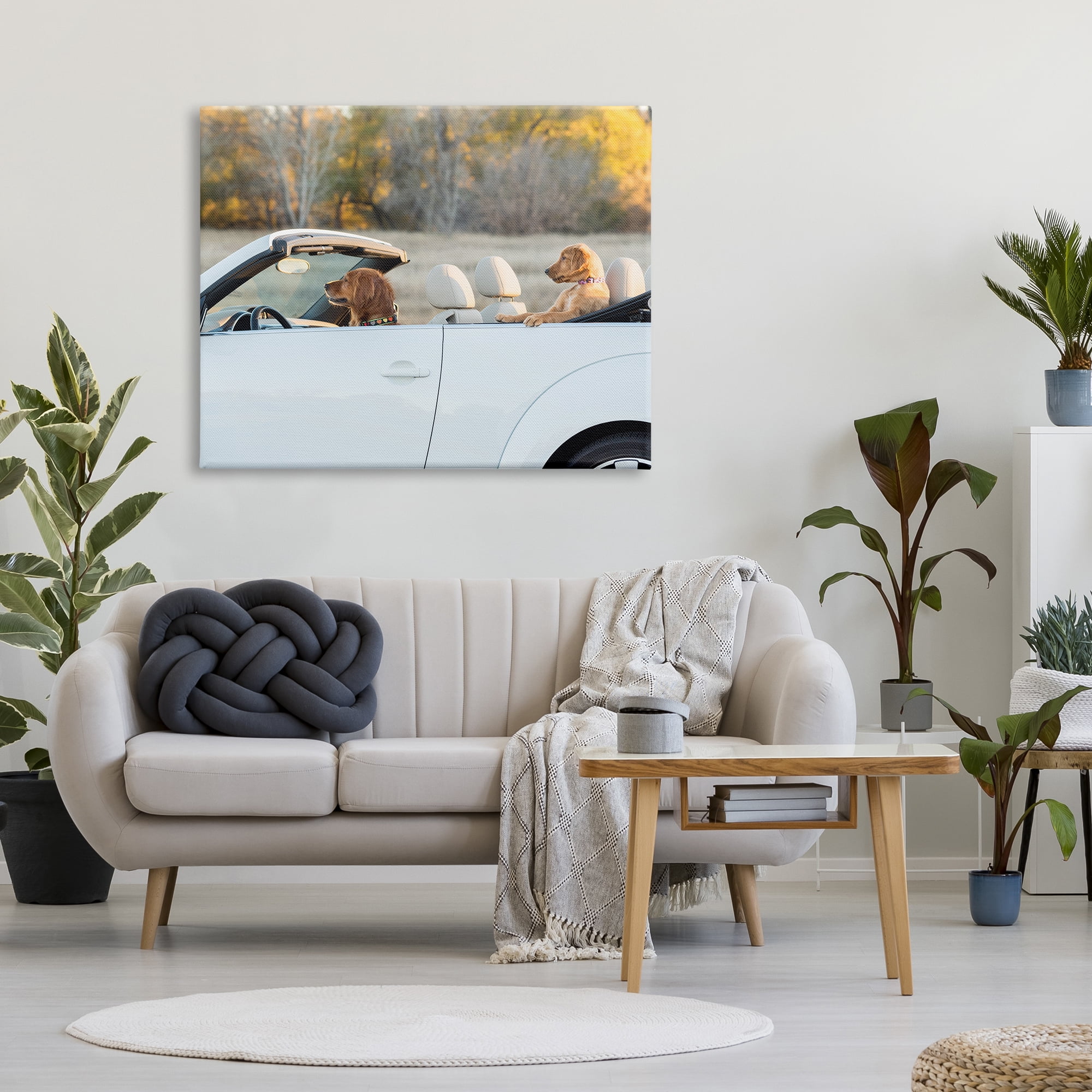 Stupell Industries Dogs Driving Convertible Animals & Insects Photography Gallery Wrapped Canvas Art Print Wall Art, 48 x 36