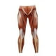 thumbnail image 3 of High Waisted Butt Lifting Leggings Muscle Print Yoga Pants for Women S-XXL, 3 of 5
