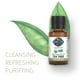 thumbnail image 2 of Aceite esencial Garden of Life Tea Tree 15 ml USDA Organic, 2 of 7