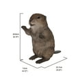 thumbnail image 5 of AMERICAN BEAVER CUB STANDING STATUE, 5 of 7