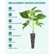 thumbnail image 3 of 50 Pack Grow Sponges, Seed Starter Pods Replacement Root , Refill Pods for Hydroponic Indoor Garden, 3 of 5