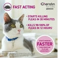 thumbnail image 4 of Cheristin for Cats Topical Liquid Flea Treatment, 3 Treatments, 4 of 6