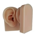 thumbnail image 2 of Modelo de Oreja de Silicona Suave Hugo Simulación de oreja falsa, 2 of 8