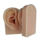 thumbnail image 2 of 2x modelo de oreja de silicona suave, herramientas de perforación de práctica profesion, de oreja flexible para herramienta de enseñanza, 2 of 8