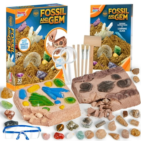 JOYIN 2Pcs Fossil and Precious Stone Hunt Kits with Eye Protection,12 Real Gemstone, 12 Real Fossils, dinosaur saur Toys, Geographic Educational Toys, STEM Science Kits