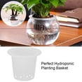 thumbnail image 3 of HYDROPONICS PLANTING BASKET SOILLESS CULTIVATION MESH POT for GROWING VEGETABLES and FRUITS, 3 of 8