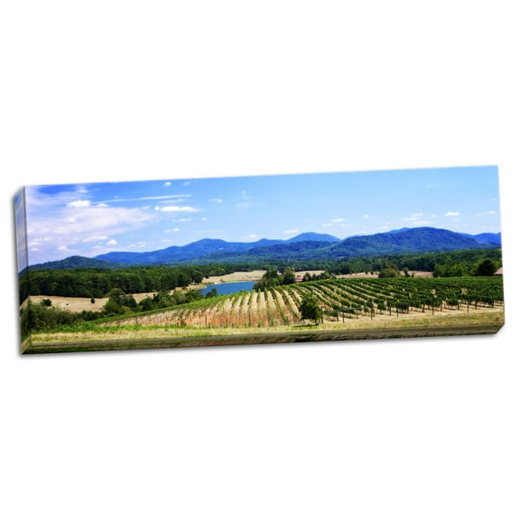 Gango Home Decor Contemporary Virginia Vineyards I by Alan Hausenflock (Ready to Hang); One 20x8in Hand-Stretched Canvas