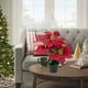 thumbnail image 4 of Decoración en maceta de flores artificiales de Navidad - Planta de plástico blanca y roja para mesa, salón, escalera - 12,6 pulgadas, 4 of 6