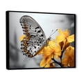 thumbnail image 2 of Designart "Butterfly Haven Yellow Grey II" Animals Floater Framed Canvas Print, 2 of 7