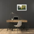 thumbnail image 3 of Tenoever, William 32x20 White Modern Wood Framed Museum Art Print Titled - Aspens in Fall II, 3 of 4