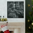 thumbnail image 5 of Redwood Glory Unseen - Canvas, 5 of 10