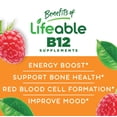 thumbnail image 3 of Suplemento de vitamina B12 Lifeable for Kids, 1000 mcg, 90 gomitas, 3 of 5