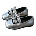 thumbnail image 4 of Staki Mary Jane Shoes for Girls Girls Mary Jane Dress Shoes Platform Loafers School Uniform Chunky Heel Closed Toe Flats(Silver,9.5 Toddler), 4 of 9