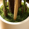 thumbnail image 6 of 5ft Artificial Palm Plant in White Planter, Fake Palm Tree, Faux Plant for Indoor Outdoor Modern Decoration Dypsis Lutescens Plants in Pot for Home Office, 6 of 6