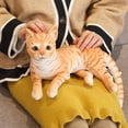 thumbnail image 4 of Lubelski Cat Stuffed Doll Realistic Decorative Comfy 3D Simulation Pillow Cat Plush Toy for Birthday Gift, 4 of 8
