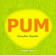 thumbnail image 1 of Pum Océano Travesía 9786074003376, 1 of 2