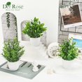 thumbnail image 5 of Der Rose 8 Pack Small Artificial Potted Plants for Home, Office, Farmhouse, Bathroom, and Bedroom Decor, 5 of 6