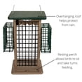 thumbnail image 4 of JCs Wildlife Whole Peanut and Suet Feeder - Woodpecker, Chickadee Feeder, 4 of 8