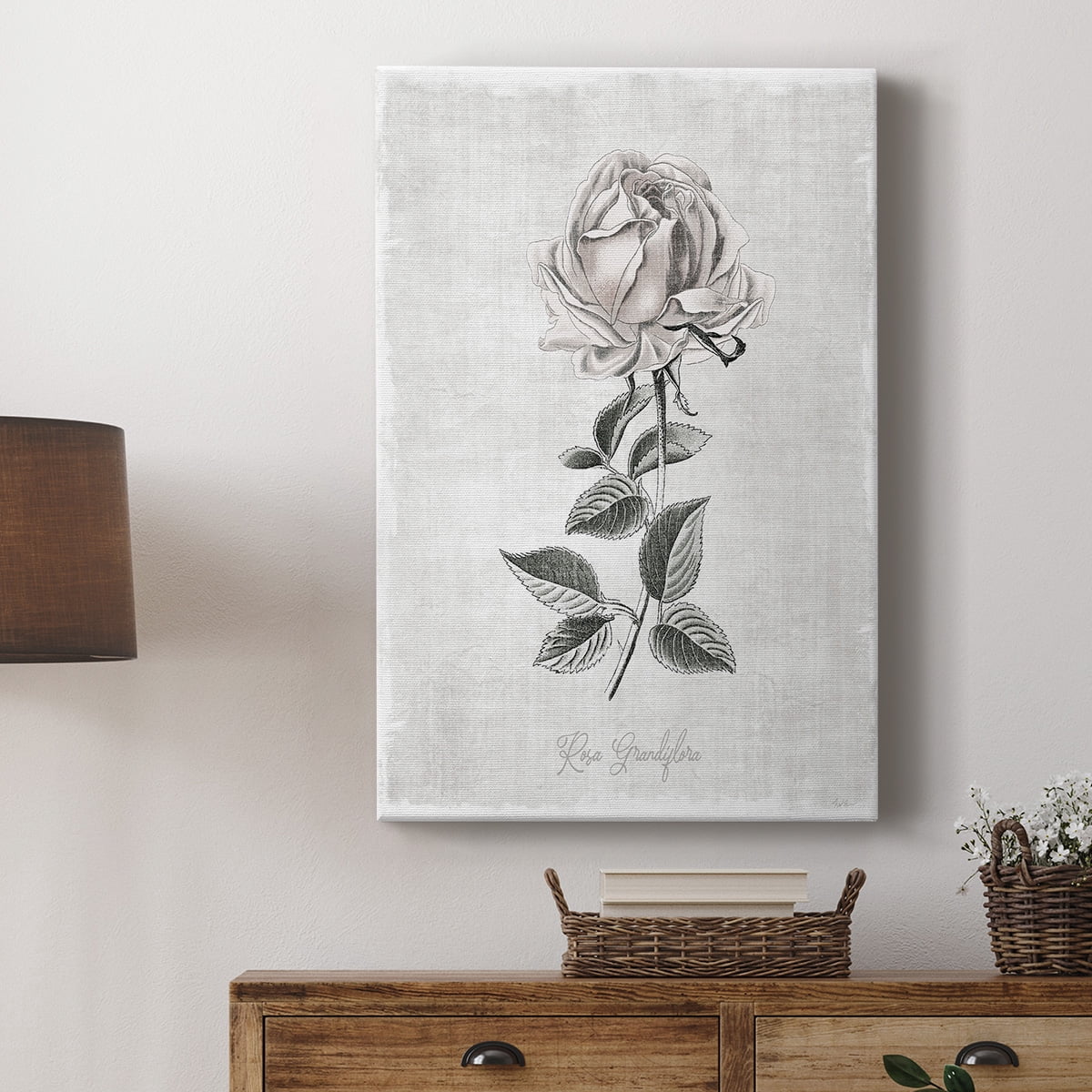 Vintage Botanical II Premium Gallery Wrapped Canvas - Ready to Hang