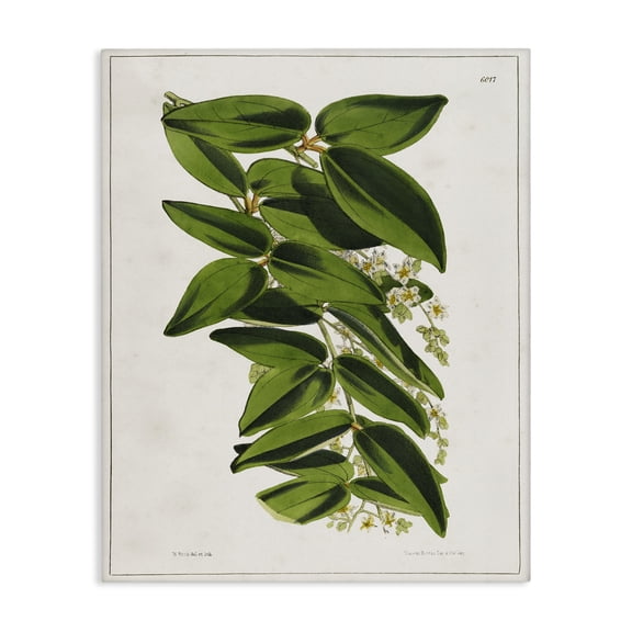 Stupell Industries Stacked Leaves Botanical Plants & Flowers Painting Wrapped Canvas Art Print Wall Art, 16 x 20