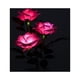 thumbnail image 4 of Rosas solares con luz LED, maceta artificial con 3 luces, lámpara de noche para casa, jardín, habitación, oficina, hotel (rosa), 4 of 5