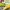 Multi-color, variant on Greater Than Games Feather and Flame New