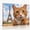 B, variant on XaaKee Canvas Wall Art Orange Tabby Humorous Animal Portrait Travel Concept Prints Inner Framed 1812Inch