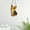 F, variant on Tao Tao Dog Suncatcher - 8inch Acrylic Dog Series Art Stained Glass Window Hanging, Corgi/Beagle/French Bulldog/Dachshund/Labrador Ornaments for Window Decor, Funny Gift for Dog Lovers J