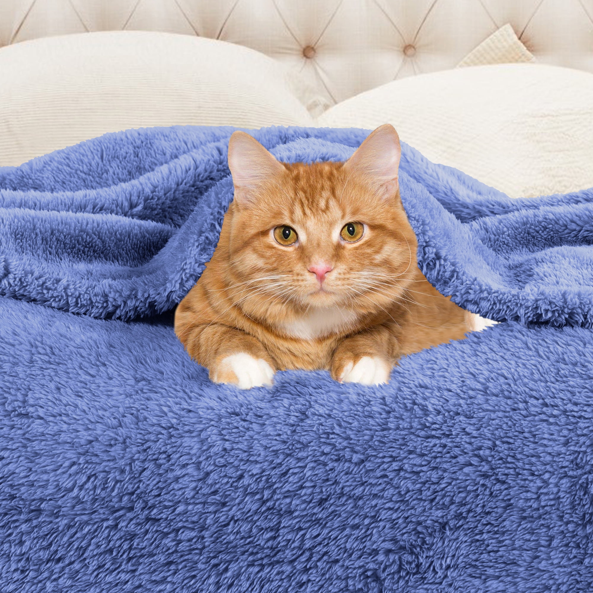 BNM Solid Fleece Soft Plush Blanket, Throw XL, Blue