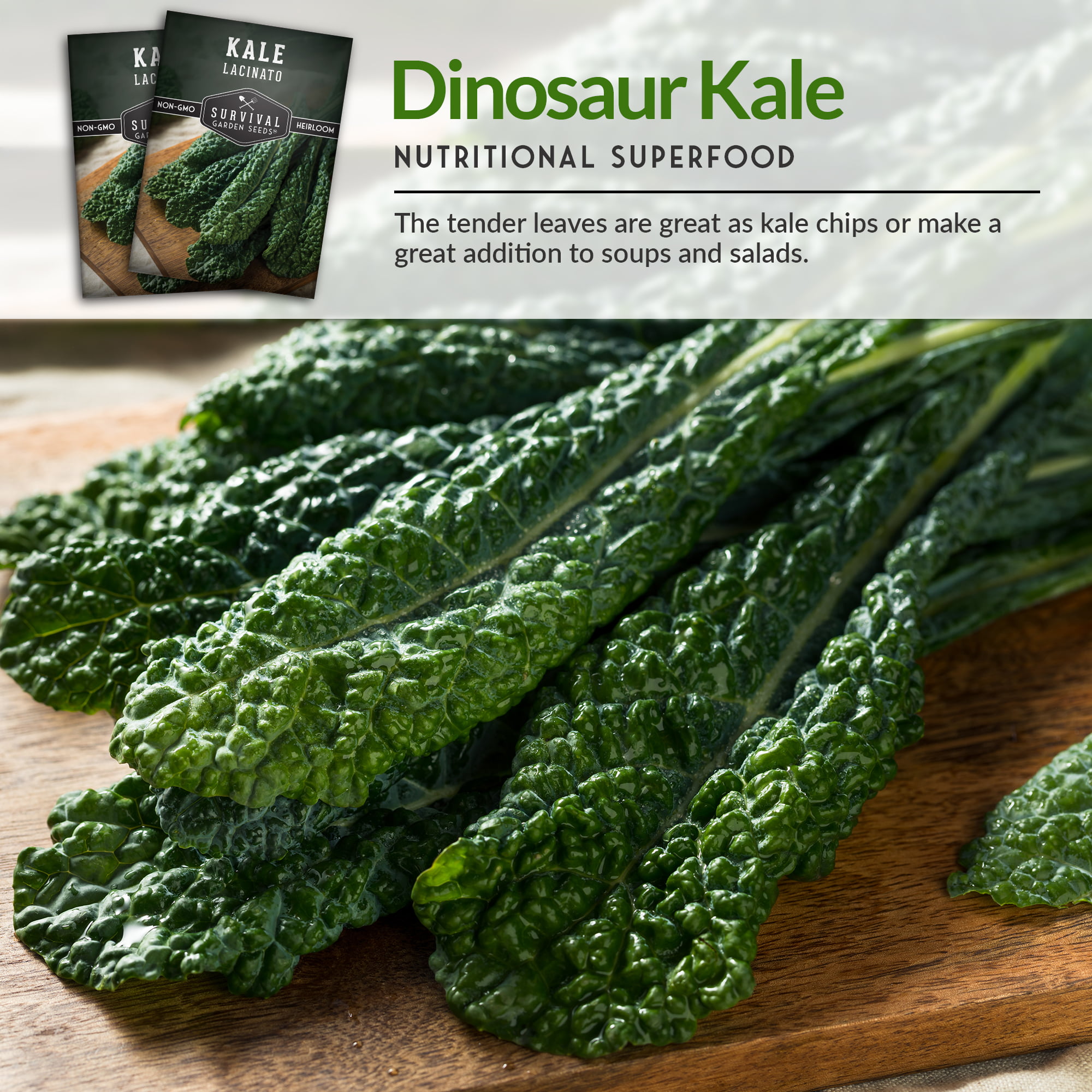 Organic Seeds — Lacinato Kale — San Diego Seed Company