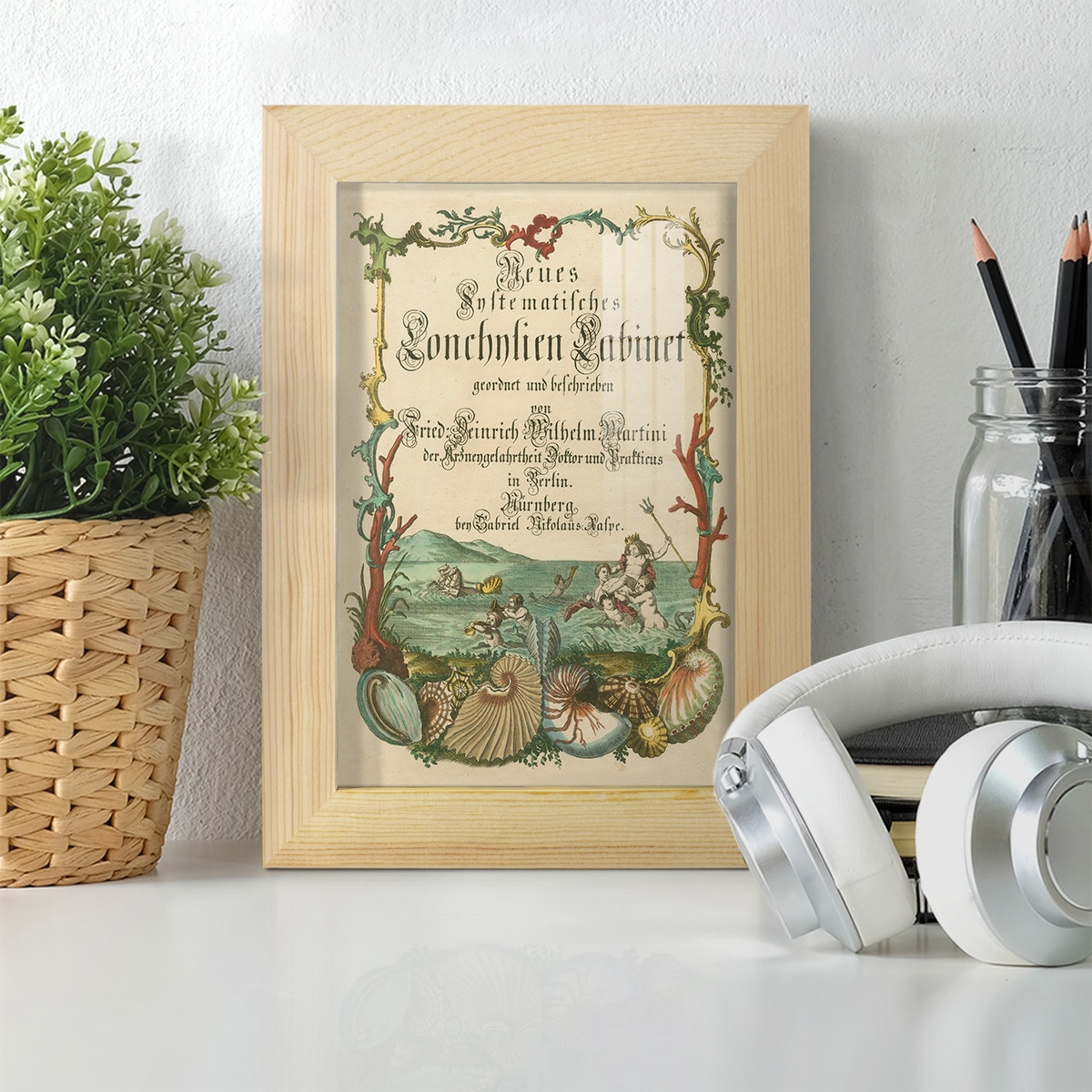 Cabinet of Conchology -Framed Print w/glass-Natural Wood