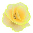 thumbnail image 4 of Decoración de Coral de simulación, pecera fluorescente, plantas, decoración para paisaje, amarillo, 4 of 5