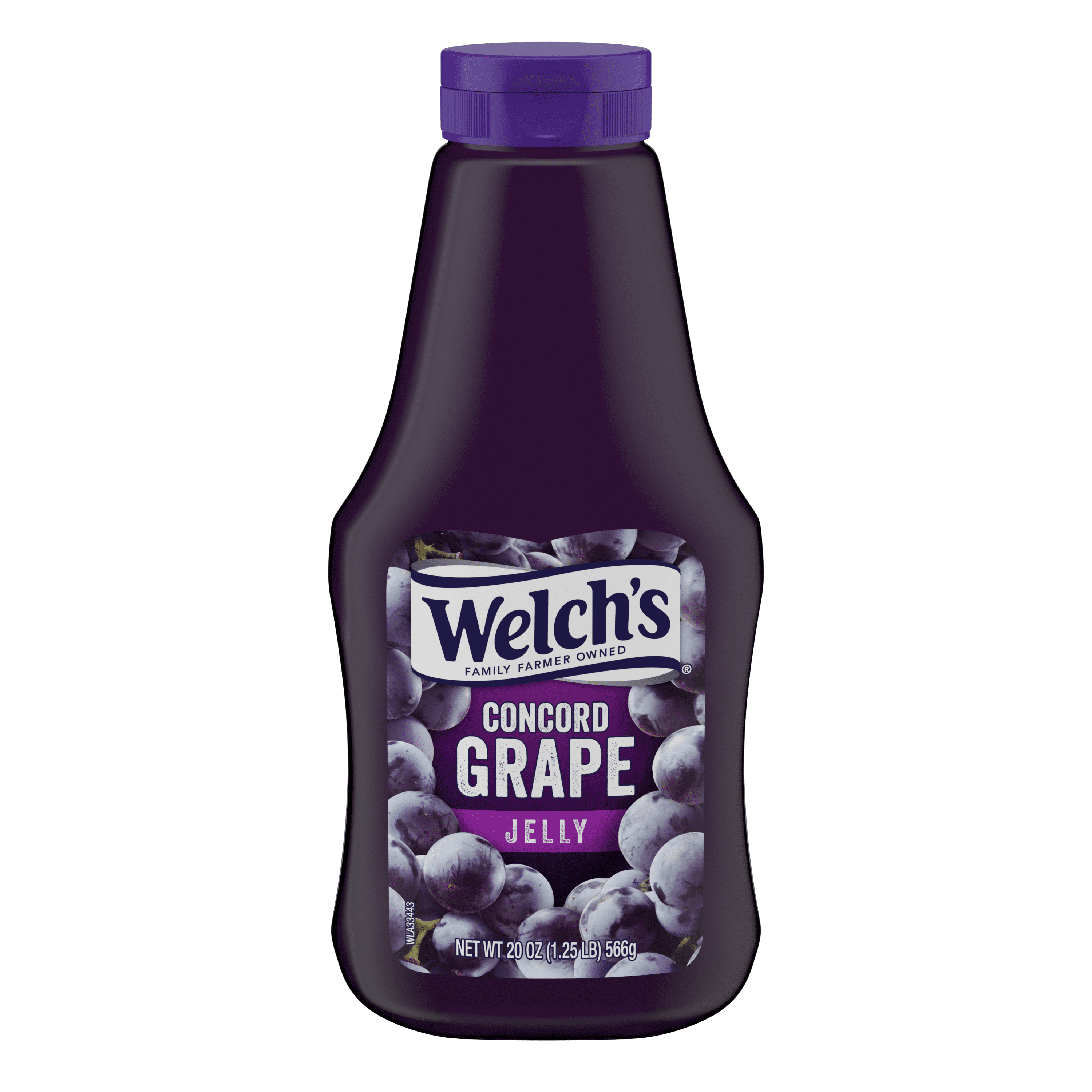 Welch's Concord Grape Jelly, 20 oz Squeeze Bottle